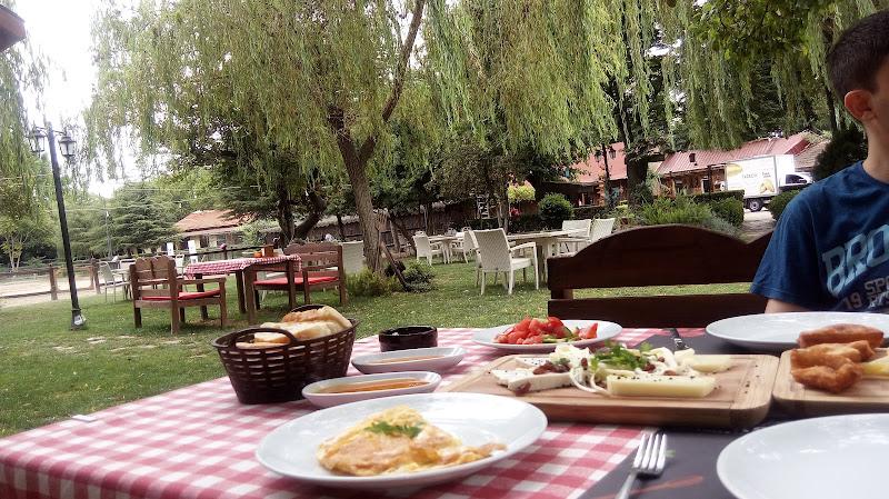 Club K9 - Kafe, Kahvaltı, Binicilik, Köpek Çiftliği
